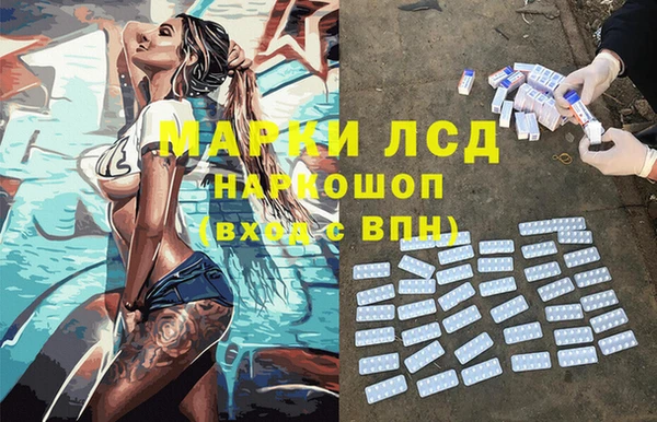 крисы Белокуриха