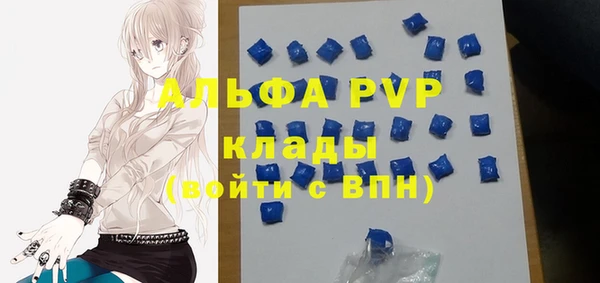 крисы Белокуриха