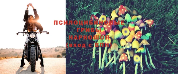 прущий лед Белоозёрский