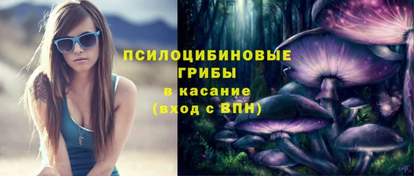 стаф Беломорск