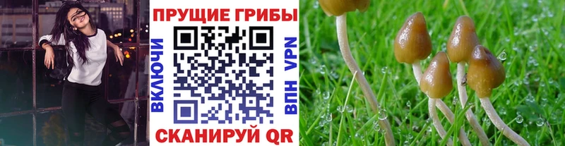 гидра зеркало  наркошоп  Нерчинск  Галлюциногенные грибы прущие грибы 